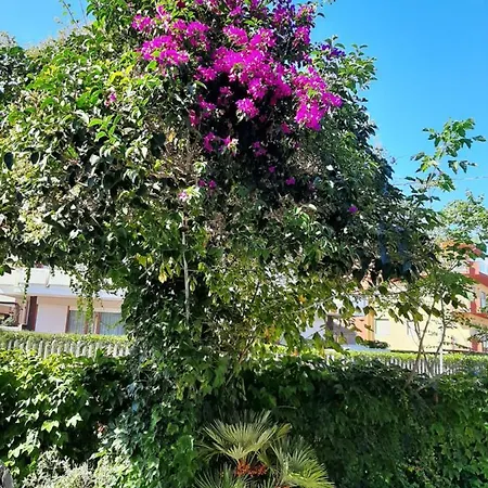 L'isola Felice Gæstehus Silvi Marina